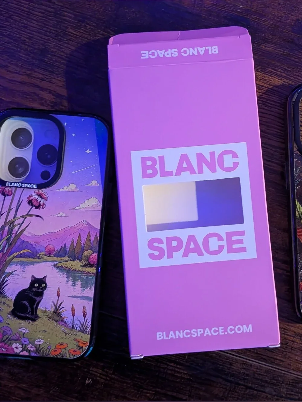 Blanc Space IPhone 14 Pro Cases